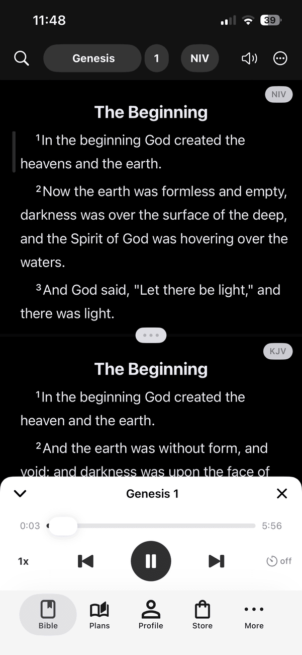 Audio Bible