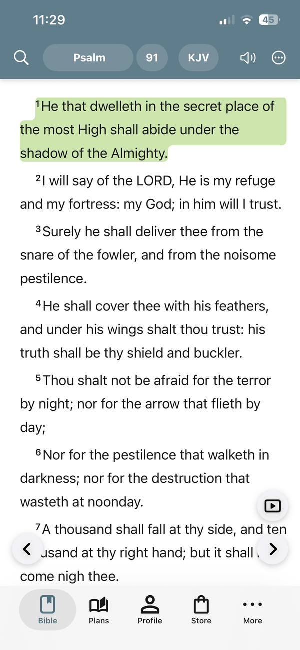 Genesis 1 reading in light theme (Android)