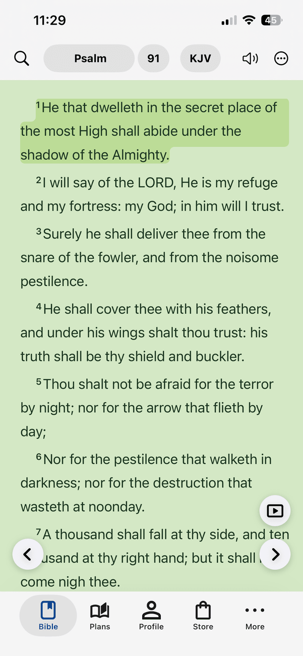App options screen: font size, night mode, page color and Words of Jesus in red — Green